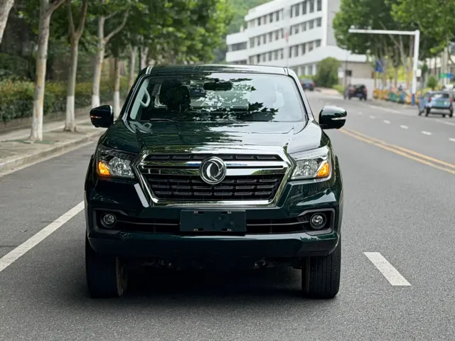 Dongfeng Rich 6 Pro — Фото автомобиля 2