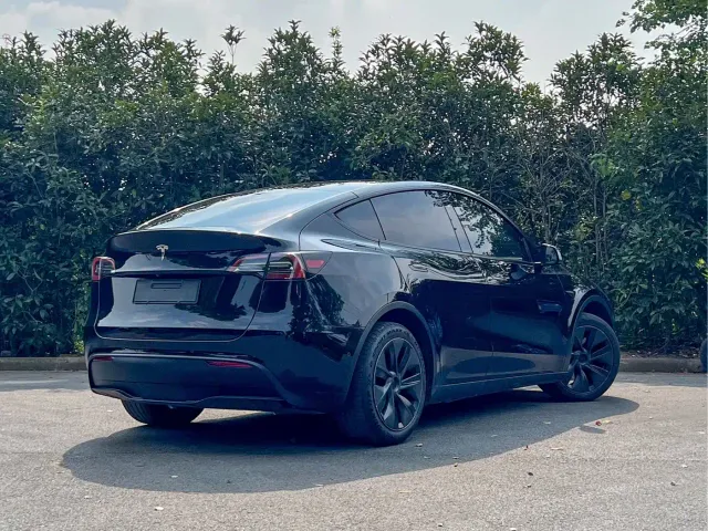 Tesla Model Y — Фото автомобиля 4