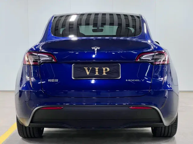 Tesla Model Y — Фото автомобиля 6