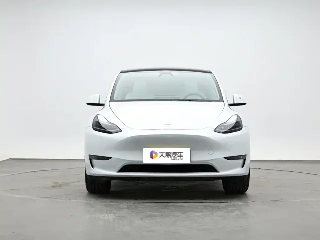 Tesla Model Y — Фото автомобиля 2