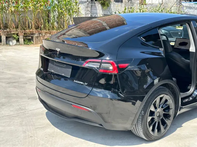 Tesla Model Y — Фото автомобиля 18