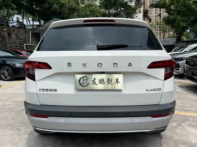 Skoda Karoq — Фото автомобиля 19