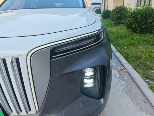 Hongqi E-HS9 — Фото автомобиля 23