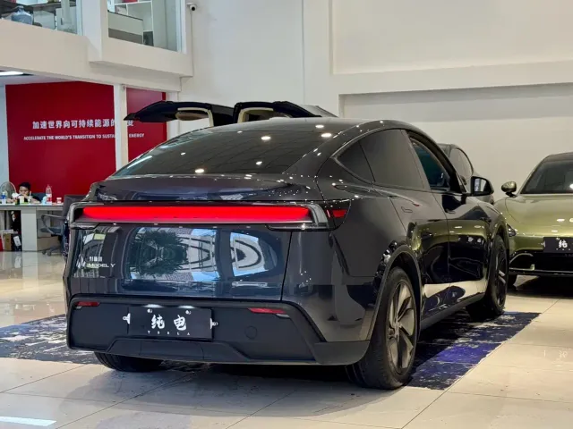 Tesla Model Y — Фото автомобиля 15