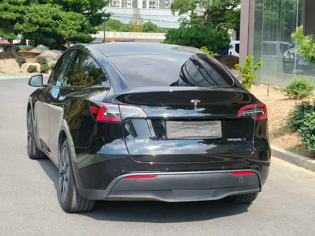 Tesla Model Y — Фото автомобиля 18