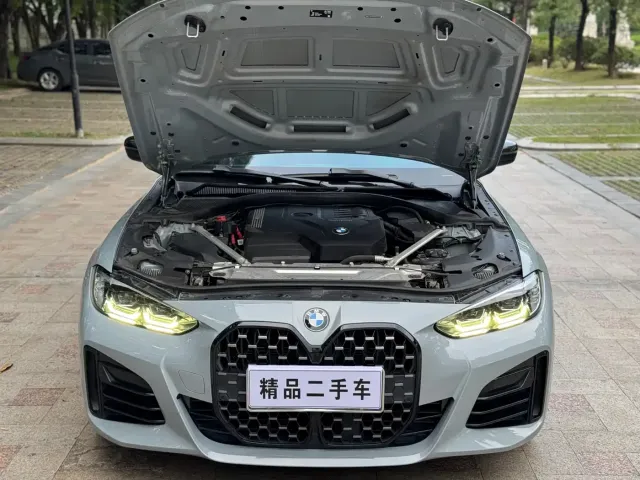 BMW 4 Series — Фото автомобиля 22
