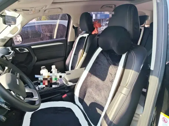 Haval Haval Big Dog 2022 1.5T DCT FWD Border Collie Edition — Фото автомобиля 7