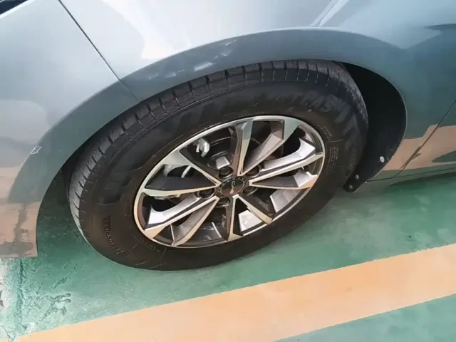 BYD Destroyer 05 2024 Glory Edition DM-i 55KM Luxury — Фото автомобиля 22
