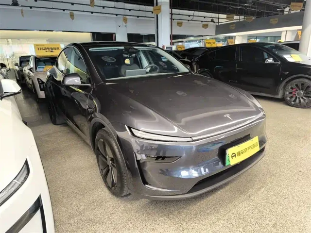 Tesla Model Y — Фото автомобиля 21