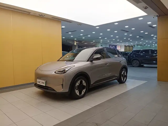 Фотография автомобиля — Geely Starry Wish