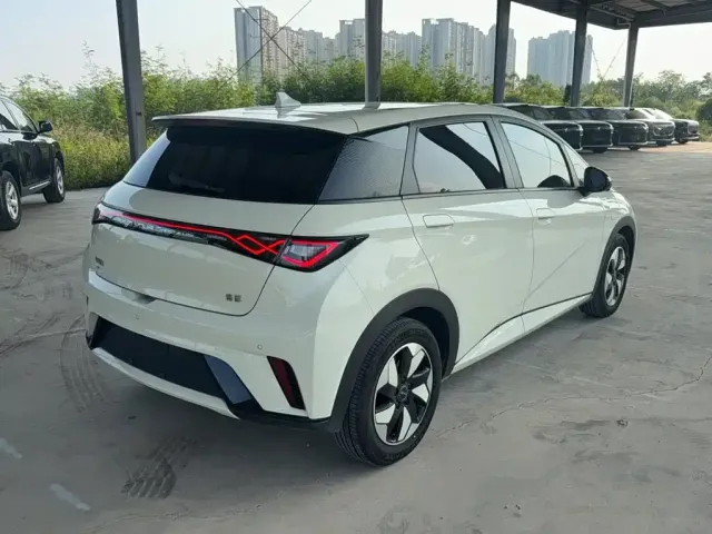 BYD Dolphin 2024 Glory Edition 420km Fashion Edition — Фото автомобиля 4