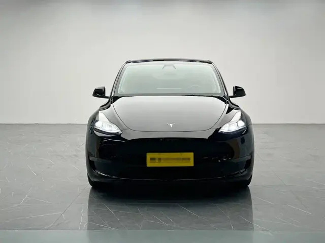 Tesla Model Y — Фото автомобиля 2