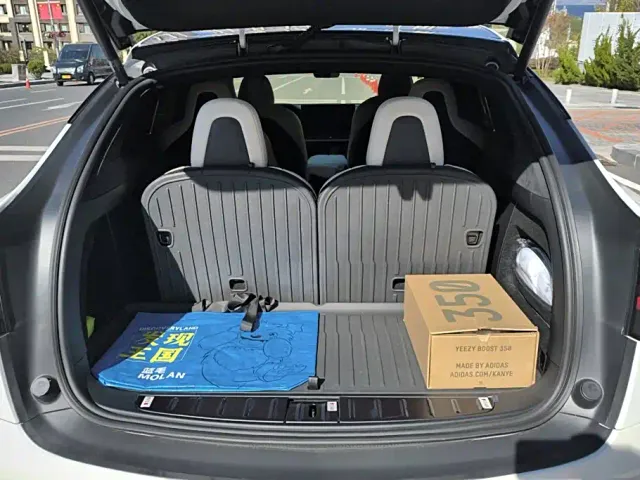 Tesla Model X — Фото автомобиля 4