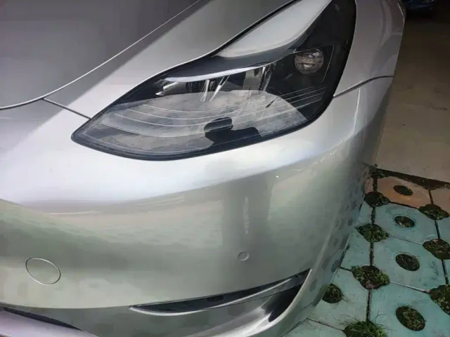 Tesla Model Y — Фото автомобиля 2