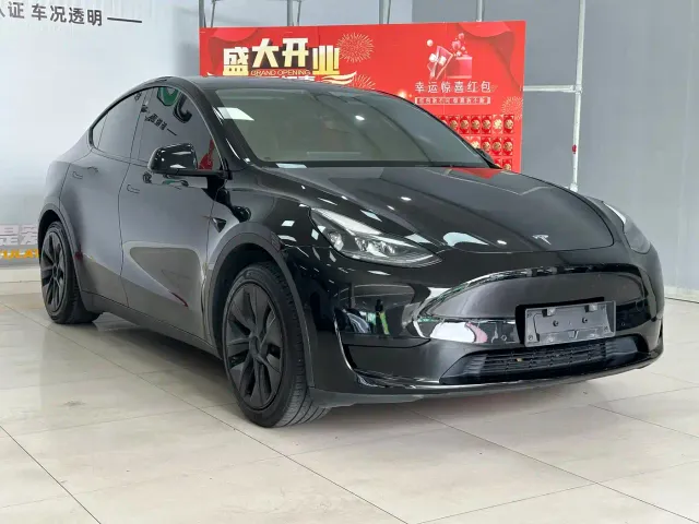 Tesla Model Y — Фото автомобиля 2