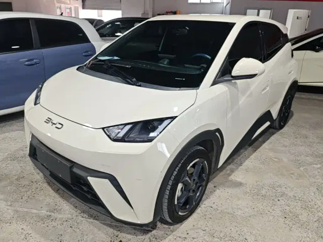 Фотография автомобиля — BYD Seagull