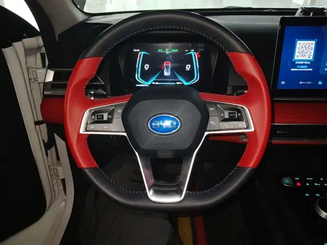 BYD BYD e2 2021 Premium Model — Фото автомобиля 10