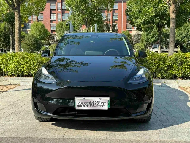 Tesla Model Y — Фото автомобиля 2