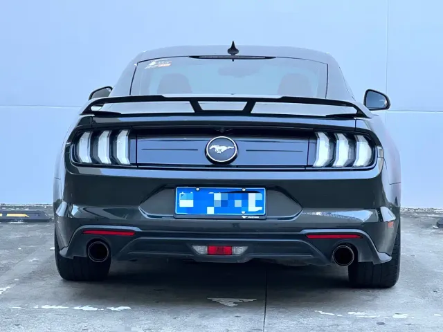 Ford Mustang — Фото автомобиля 13