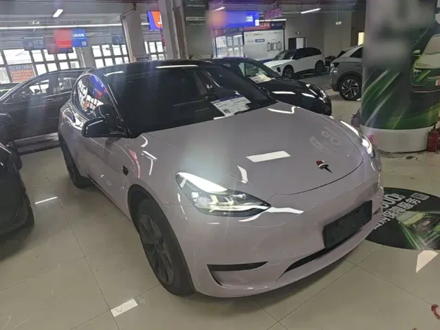 Tesla Model Y — Фото автомобиля 3