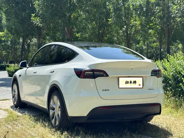 Tesla Model Y — Фото автомобиля 16