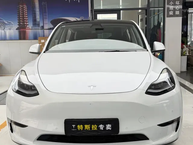 Tesla Model Y — Фото автомобиля 2