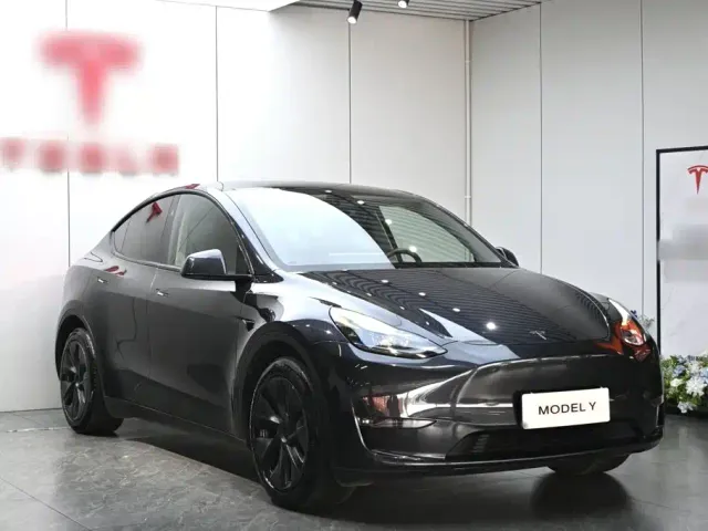Tesla Model Y — Фото автомобиля 3