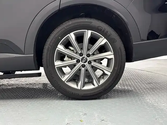 Chery Tiggo 8L — Фото автомобиля 15