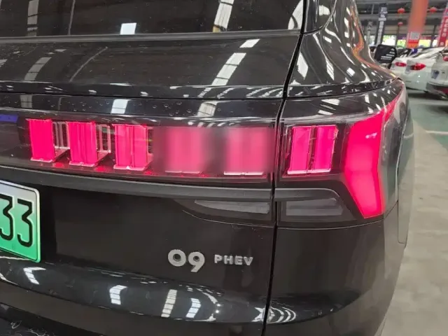 Lynk & Co Lynk & Co 09 EM-P 2021 2.0T PHEV Halo 6-seater — Фото автомобиля 23