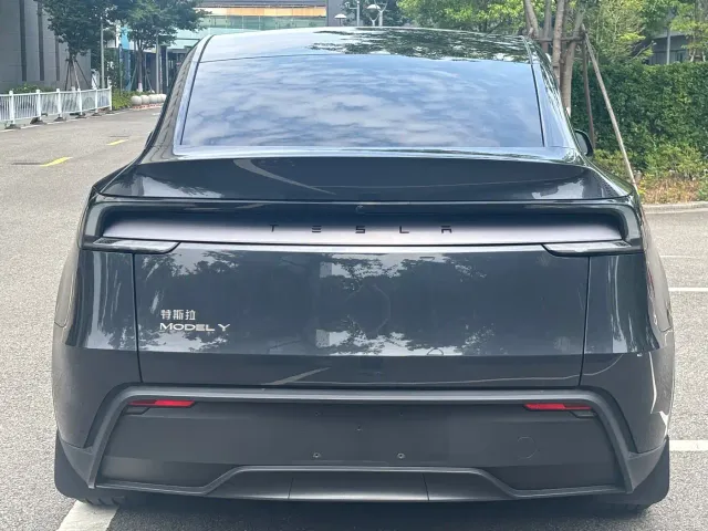 Tesla Model Y — Фото автомобиля 16