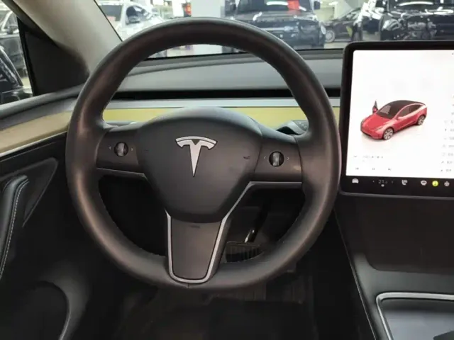 Tesla Model Y — Фото автомобиля 10