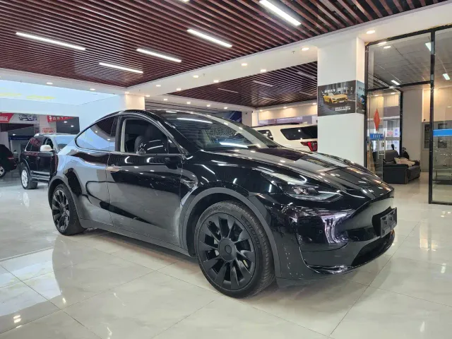 Tesla Model Y — Фото автомобиля 3