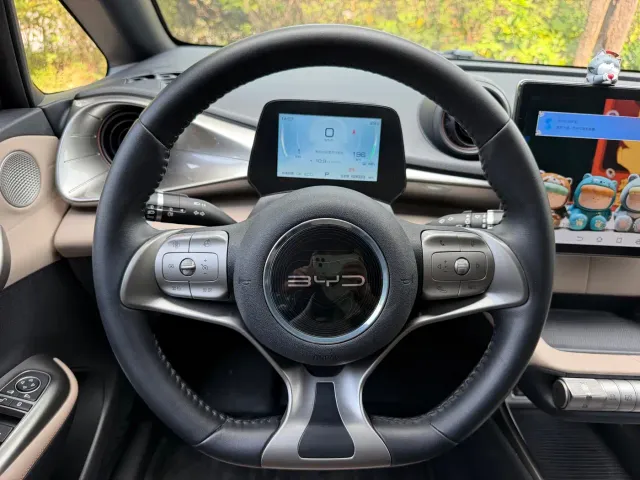 BYD Dolphin — Фото автомобиля 8