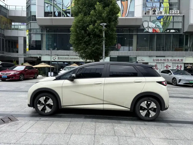 BYD Dolphin — Фото автомобиля 4