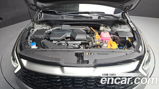 Kia Sportage — Фото автомобиля 6