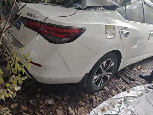 Nissan Sylphy — Фото автомобиля 3