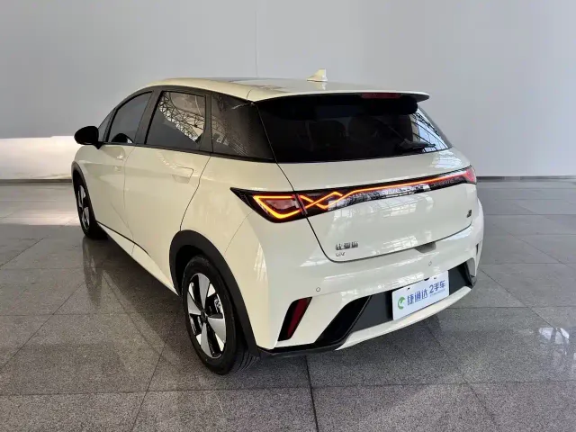 BYD Dolphin — Фото автомобиля 6