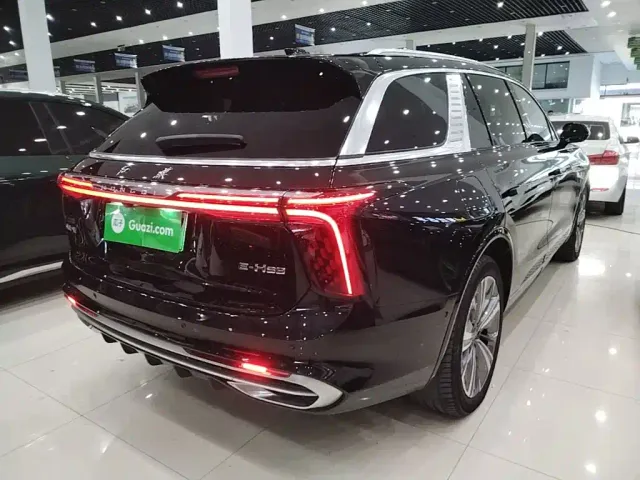 Hongqi E-HS9 — Фото автомобиля 6