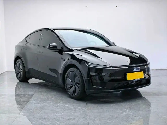 Tesla Model Y — Фото автомобиля 6