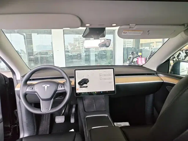 Tesla Model Y — Фото автомобиля 9