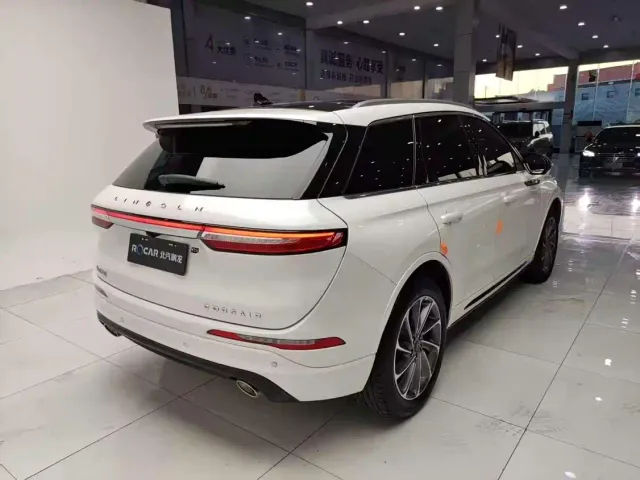 Lincoln Adventurer NEV — Фото автомобиля 23