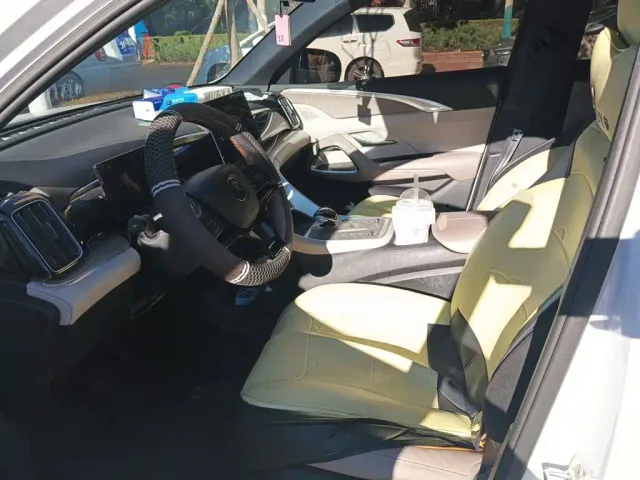 BYD Song Pro — Фото автомобиля 12