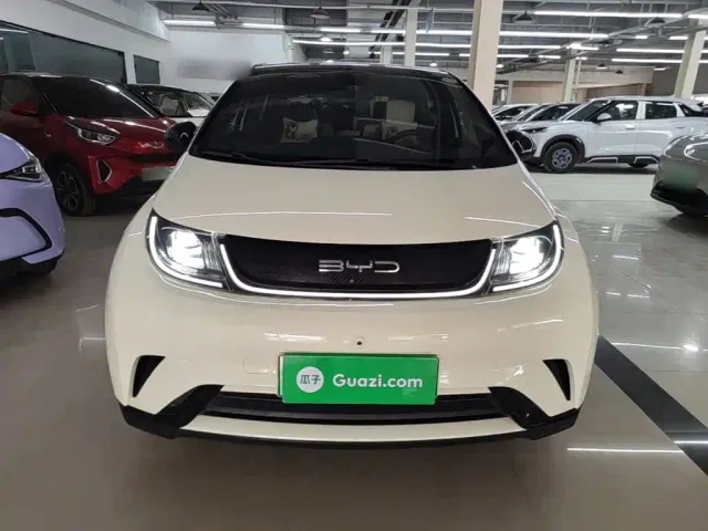 BYD Dolphin — Фото автомобиля 2
