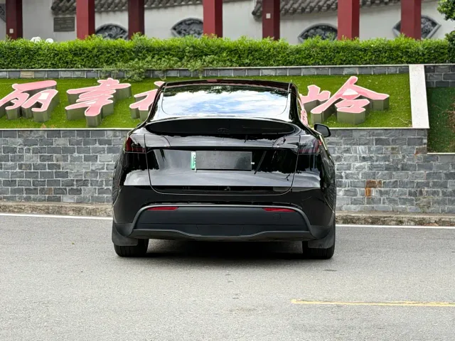 Tesla Model Y — Фото автомобиля 8