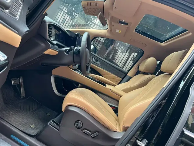 Denza D9 — Фото автомобиля 9