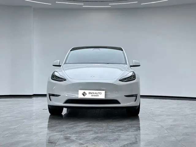Tesla Model Y — Фото автомобиля 2