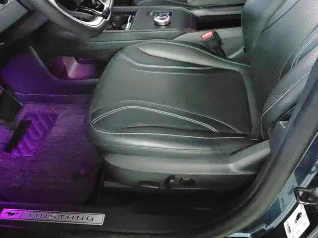 Ford Mustang Mach-E — Фото автомобиля 9