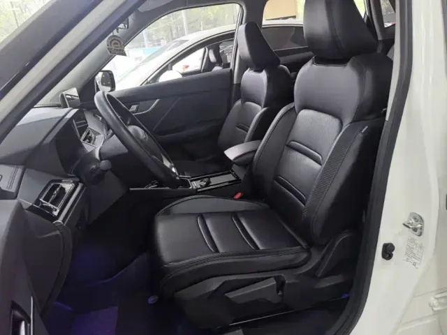 Venucia T60EV — Фото автомобиля 14