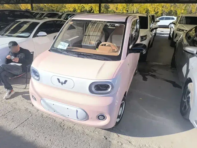 Фотография автомобиля — Wuling Hongguang Mini EV