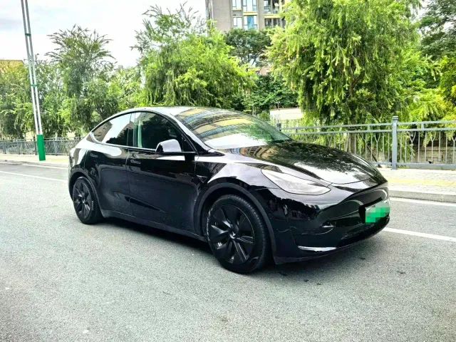 Tesla Model Y — Фото автомобиля 3